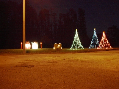 2002 Single Trees