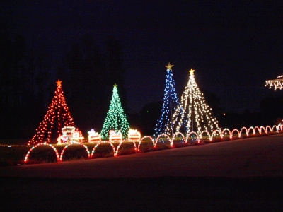 2003 Trees and Train