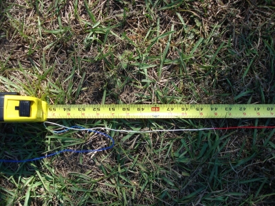 The radius of my tree is 48 inches (4 feet)