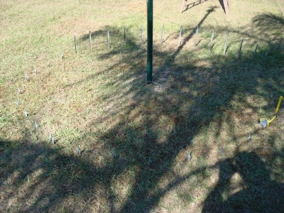 Save your sanity - drive the stakes almost all the way in before starting to string lights
