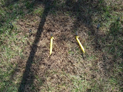 These 2 stakes are wedge 2 of that slice
