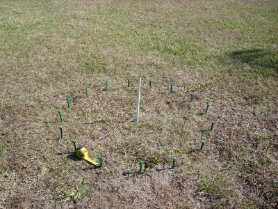 Stakes measured out