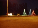 2002 Single Trees