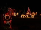 2007 Mega Tree 1
