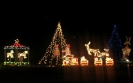 2007 Mega Tree 2