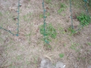 Ready for tear-down?  First, find the LAST stake used and mark it.