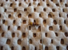 Rainbow Flood Construction :: You may need to bend the resistors closer to the body than you are used to