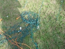 This is NOT a KNOT!  Now, start at that LAST stake, and pull the lights out