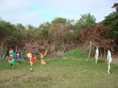 Tear Down :: image006