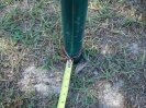 String tied to center to measure out the circle