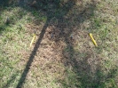 These 2 stakes are wedge 1 of the same slice