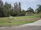 Tear Down :: image018