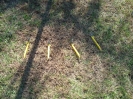 These 4 stakes are 1 slice